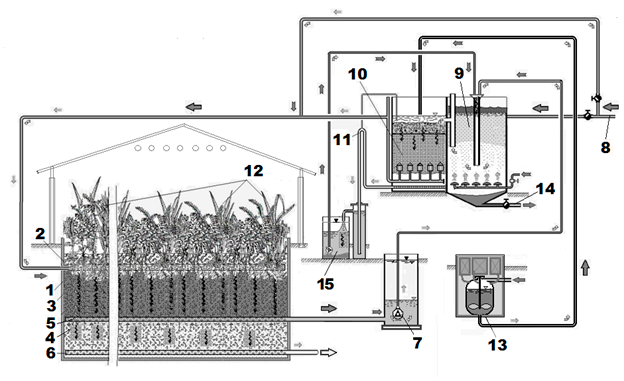 Принципиальная схема фильтрационно-регенерационного биоплато гидропонного типа (ФРГБТ) для комплексной очистки и опреснения минерализованных вод 